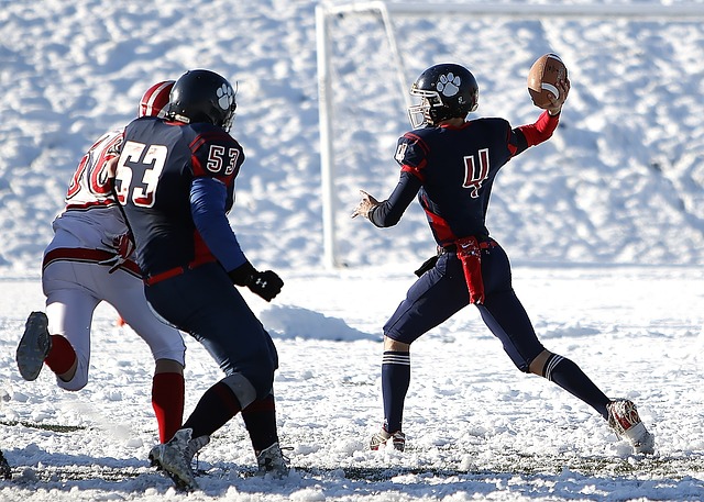 整个社会都 整个社会都