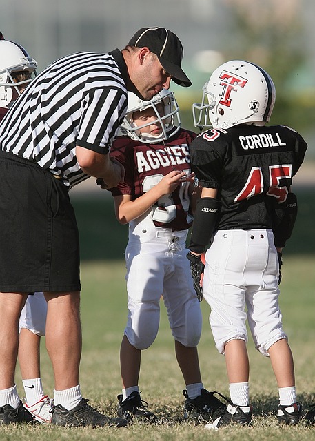 范戴克的合 范戴克的合