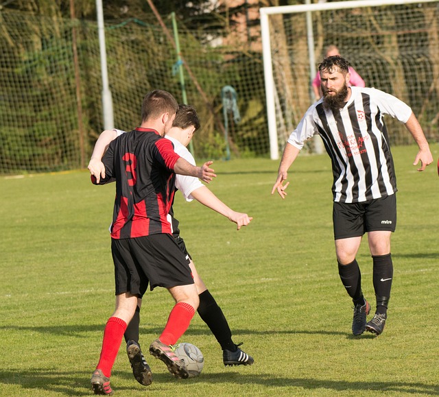 两队均展示 两队均展示