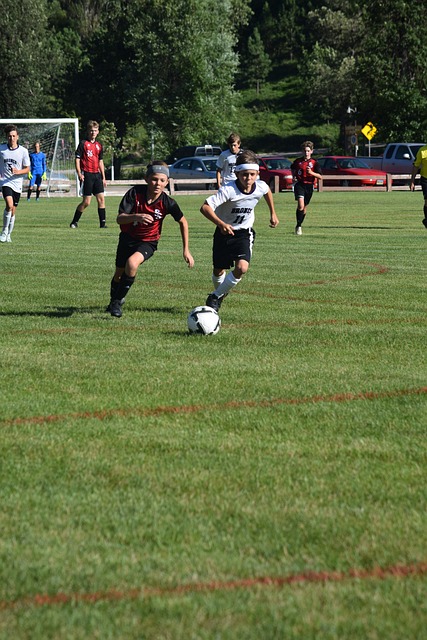 有力争夺者 有力争夺者